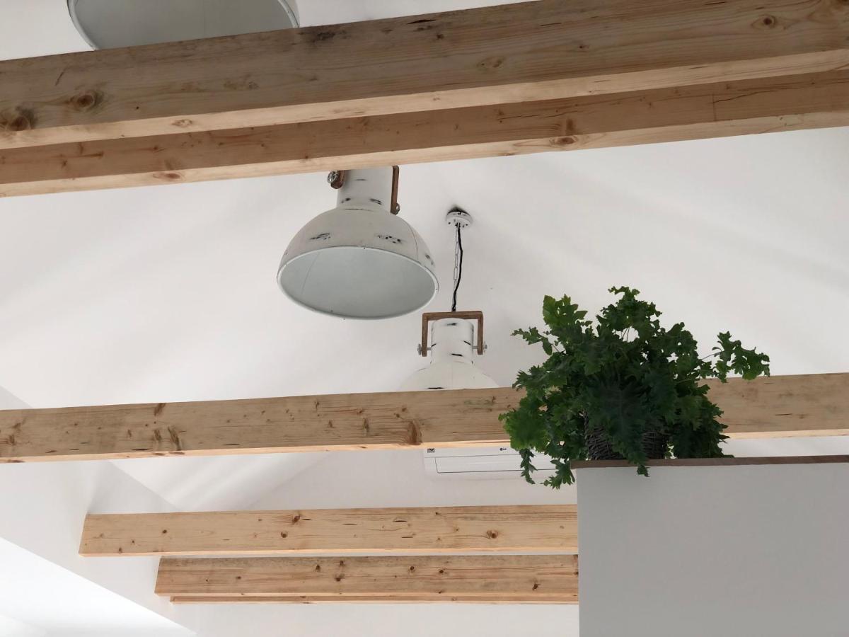 Apartment Garden House
